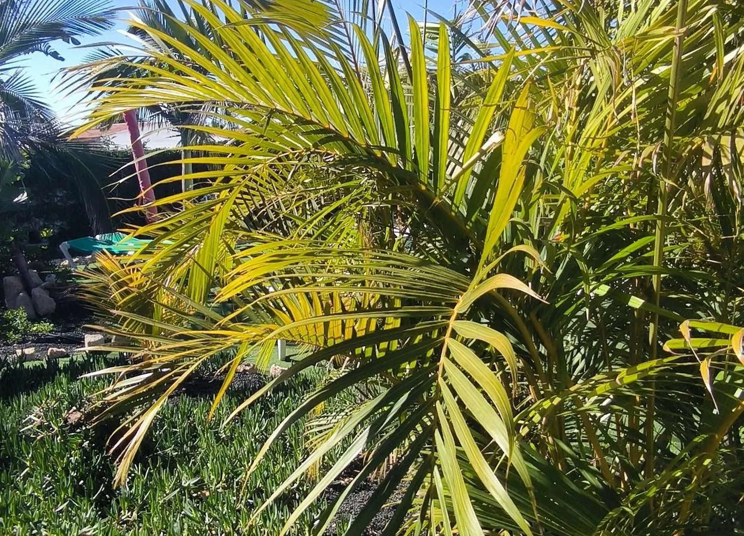 Villa Daita 2 Villa Daita 3 格拉纳迪利亚-德阿沃纳